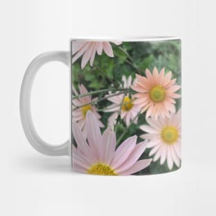 Daisies Mug